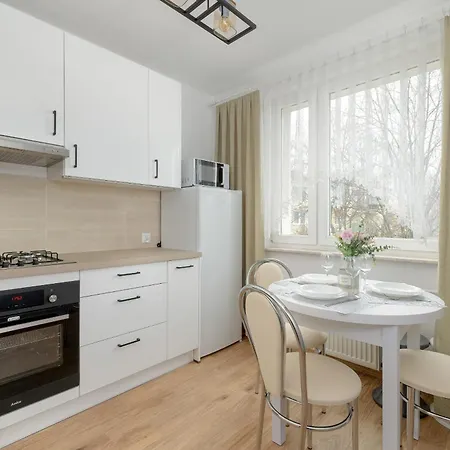 Comfortable With Balcony In By Rent Like Kraków